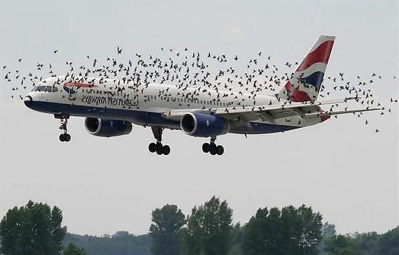 17P Amazing & Funny Photos