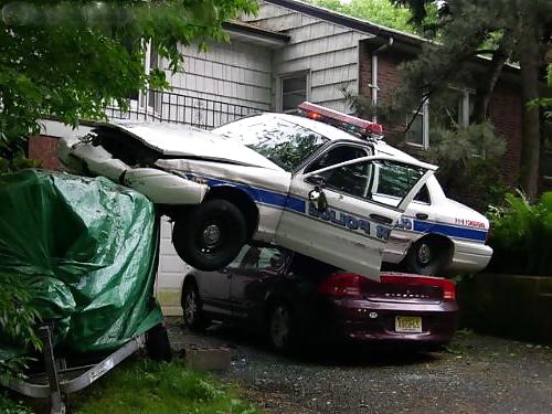 17P Amazing & Funny Photos