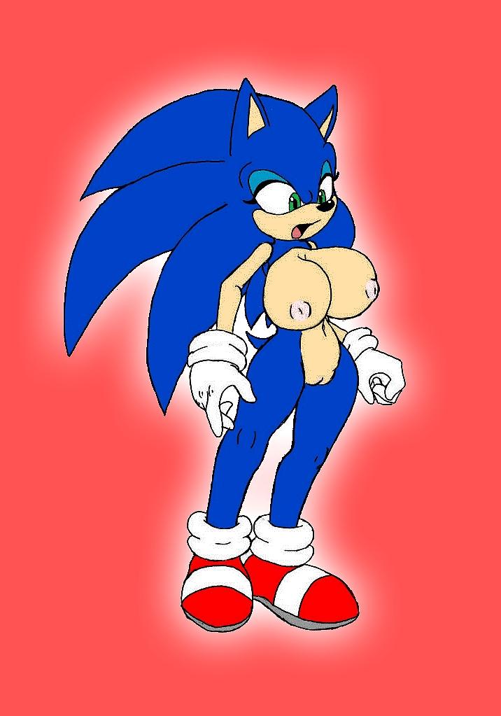 15P Sonic Hentai 1