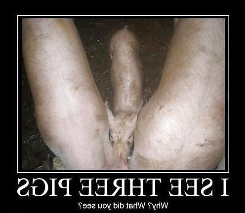 25P Funny Pictures