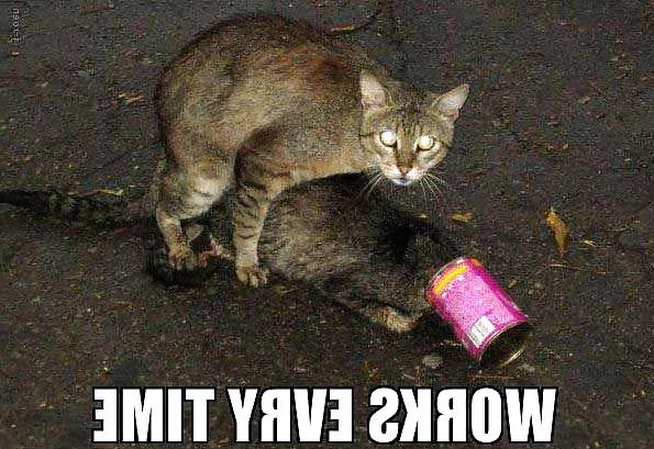 25P Funny Pictures