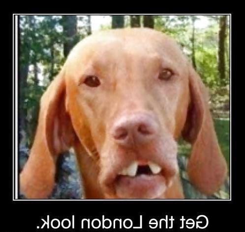 25P Funny Pictures