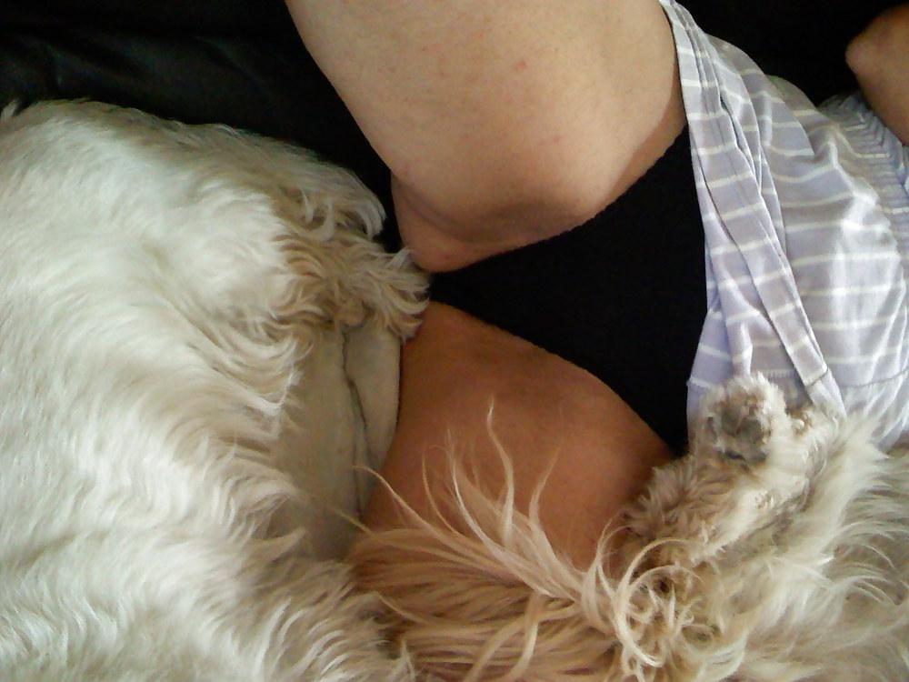 4P Culotte