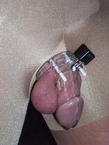25P Submissives cocks in chastity belt