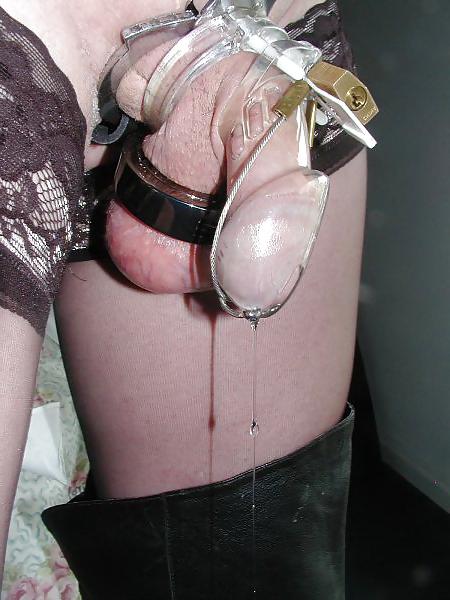 25P Submissives cocks in chastity belt