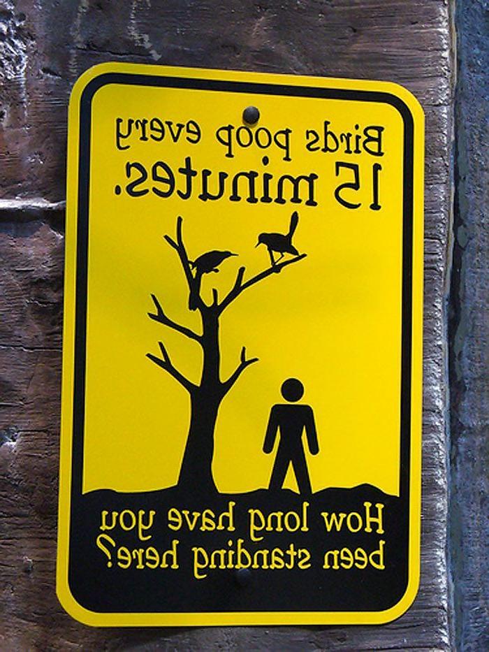 23P FUNNY C5M