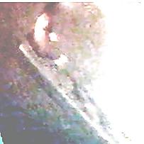 10P My missus on hidden Cam