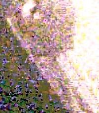 10P My missus on hidden Cam