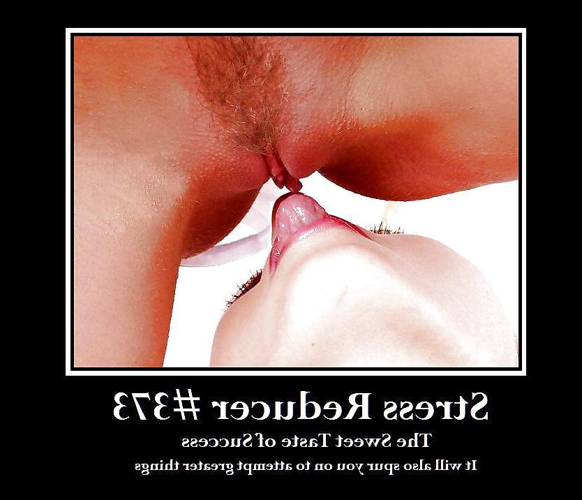24P Funny Stress Reducer Posters  355 to 378 72412