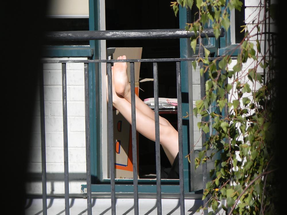 14P Neighbour hidden