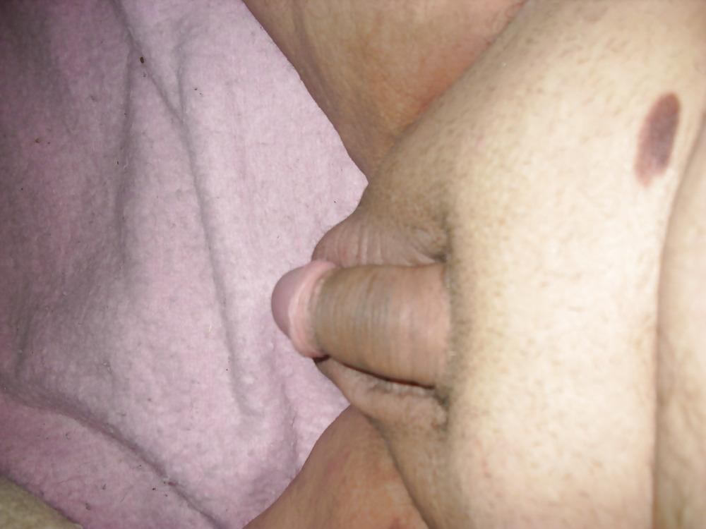 14P Penis small 1