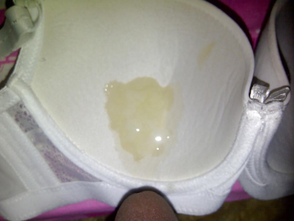 11P Fun with my friend wifes bras