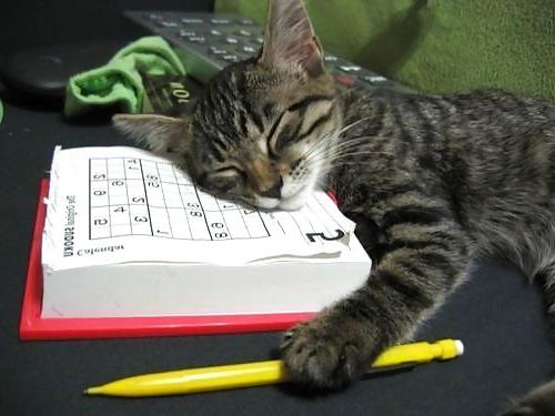 16P Funny pic vol.4