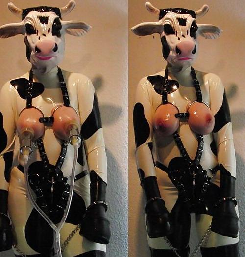 22P Milking 2!
