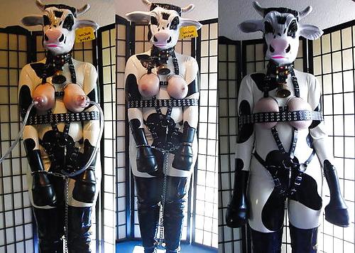22P Milking 2!