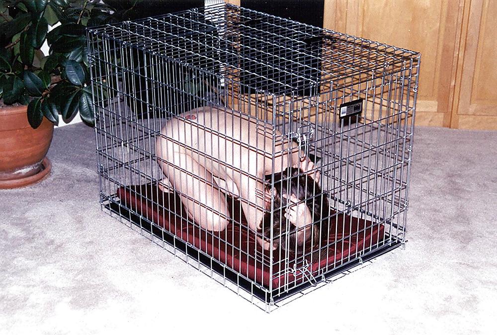 20P Cage 11!