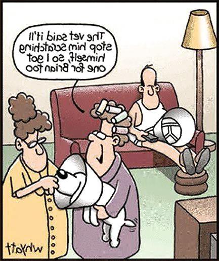 14P Funny