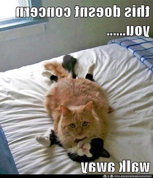 14P Funny