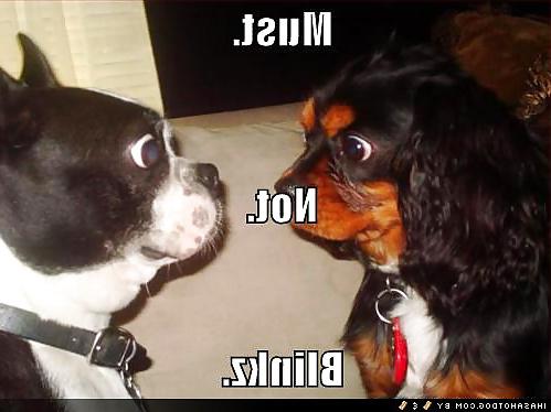 25P Funny 2