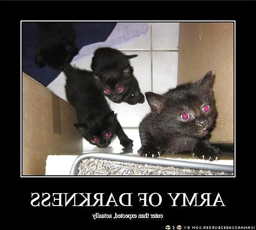25P Funny 2