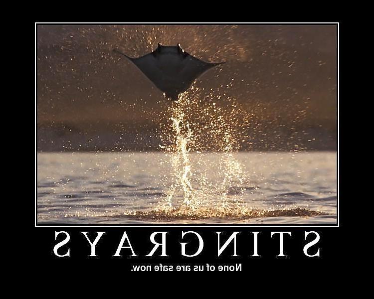 25P Funny 2