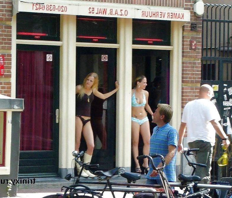 25P Hollandse..