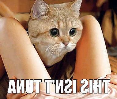 21P Something funny 6