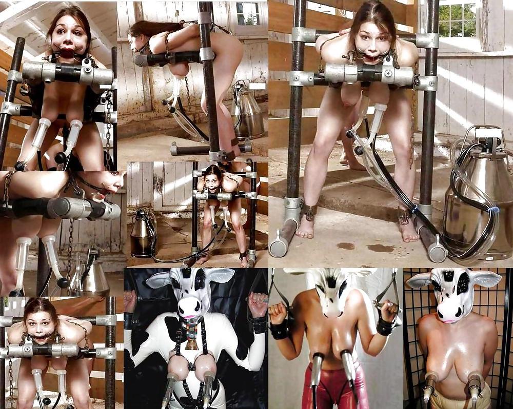 16P Wives in home training