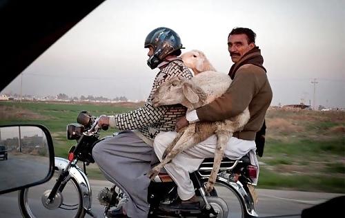 25P Funny & Amazing Moments 
