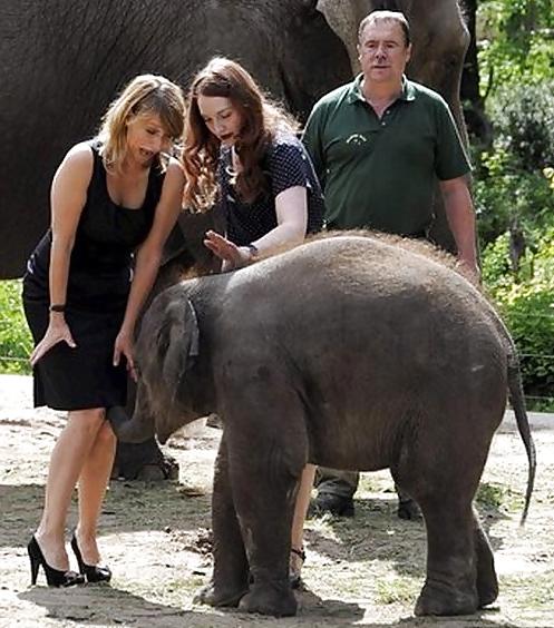 25P Funny & Amazing Moments 