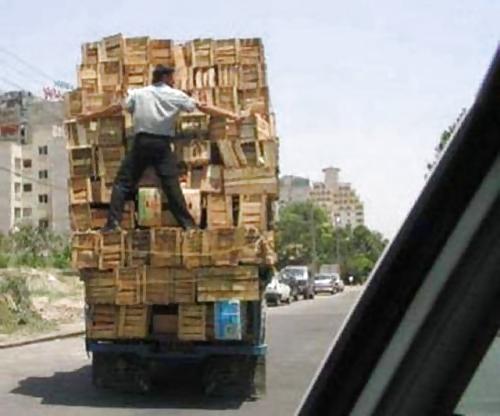 25P Funny & Amazing Moments 