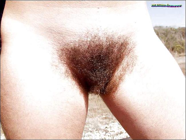 22P Love Hairy Hippies