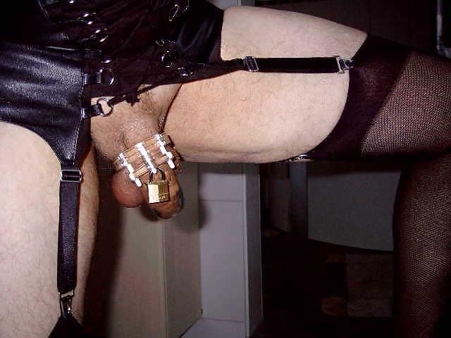 6P My cage