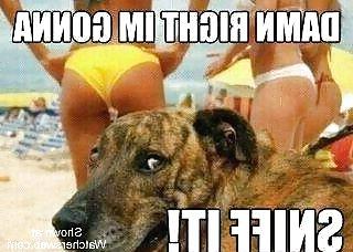 25P Funny pics