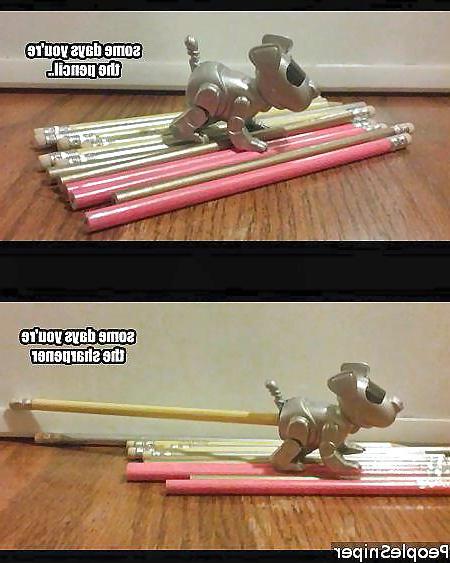 25P Funny pics