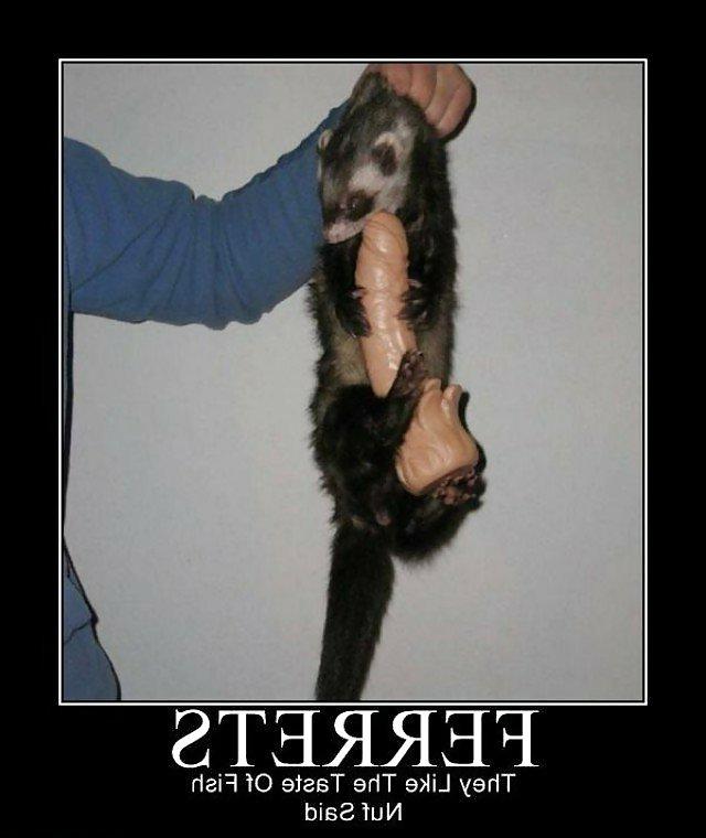 16P XX-Files #19  Funny, Sexy & Naughty Pik-Captions