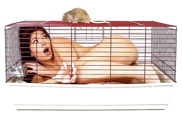 25P Funny pics colection