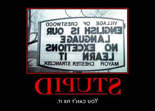 15P Stupid funny lol