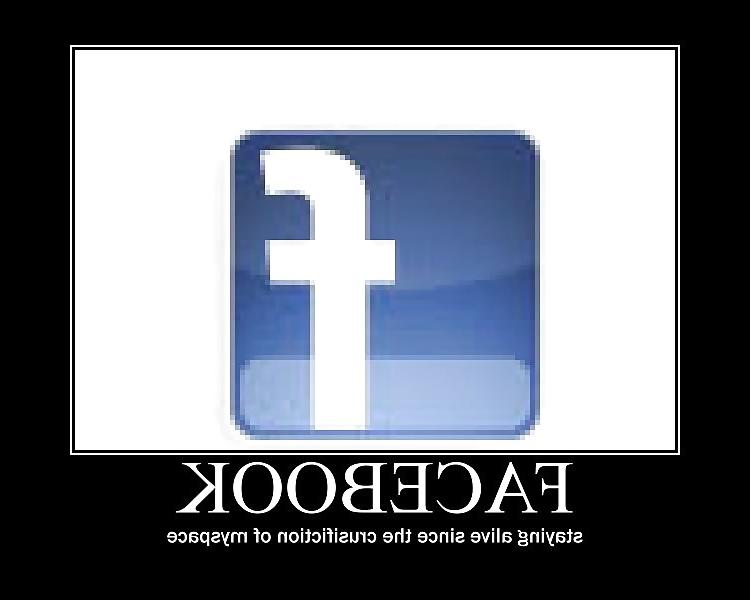 15P Stupid funny lol