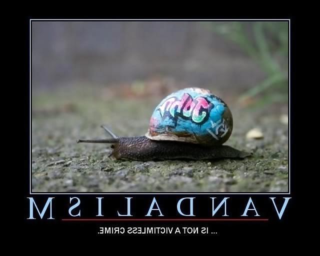 15P Stupid funny lol