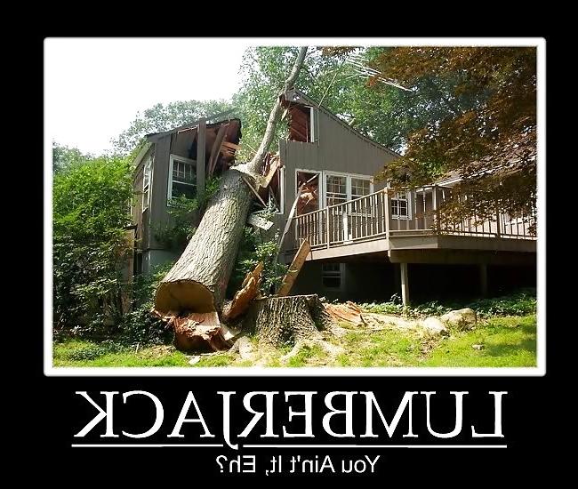 15P Stupid funny lol
