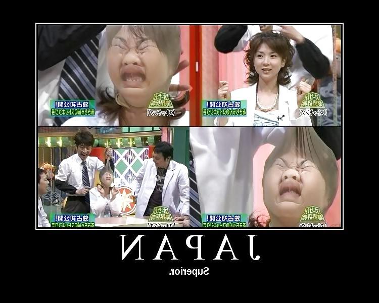 15P Stupid funny lol