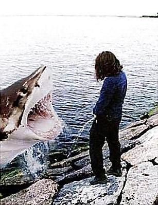 25P Funny pictures hhhh