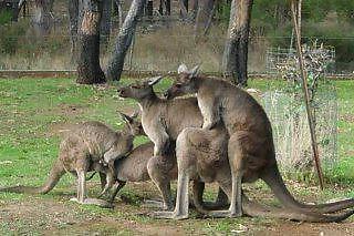 25P Funny pictures hhhh