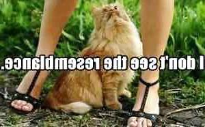 9P Lustige Bilder