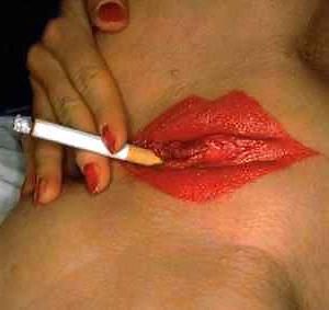 9P Lustige Bilder