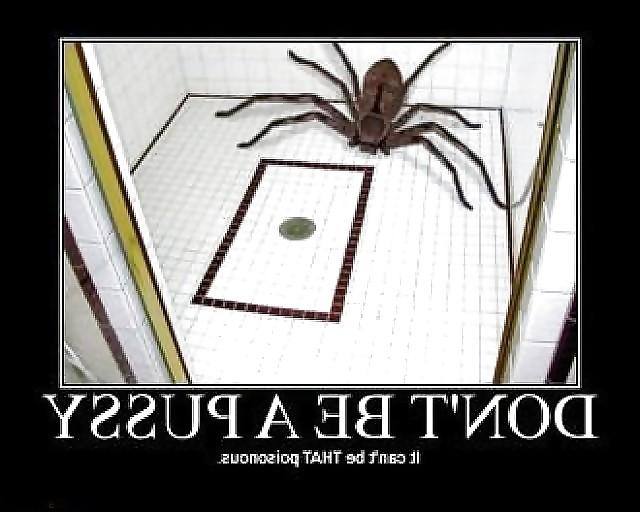 25P Funny favs