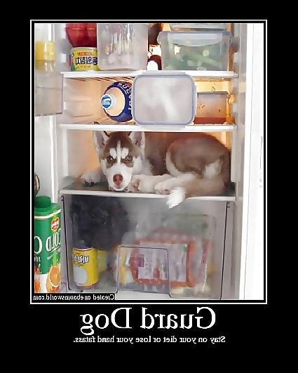25P Funny favs