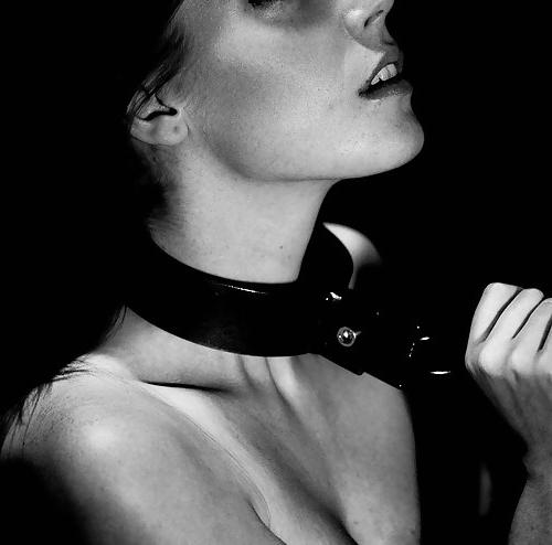 15P Dominance and submission