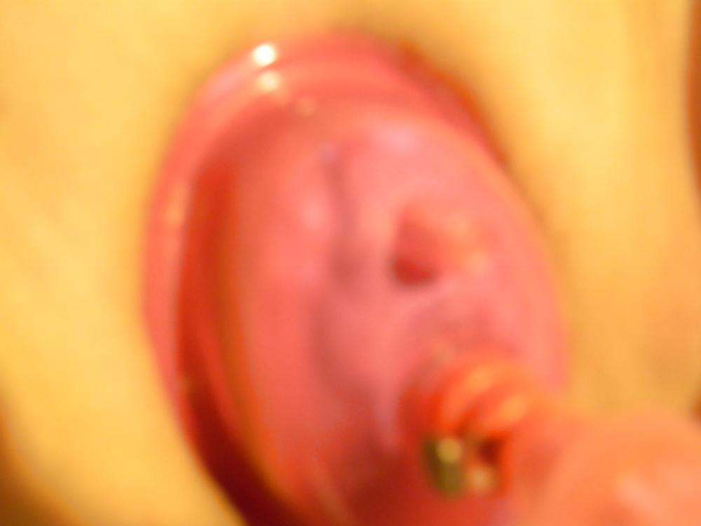 24P Pussy Lovers Come on it.